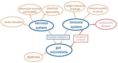 Editorial: The Gut Microbiota Orchestrates the Neuronal-Immune System